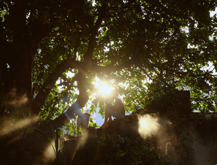 fairy green landscape, woman sit under wonderful branch of large tree, sunlight ray, dog lay down...