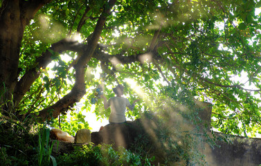 Fototapeta na wymiar fairy green landscape, woman sit under wonderful branch of large tree, sunlight ray, dog lay down beside