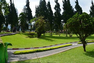 green garden field in bali