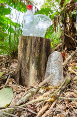Obraz premium Plastic Bottle And Drinking Glass On Stump