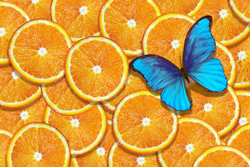 Sliced orange texture background. Natural orange background. Bright summer background. Morpho...