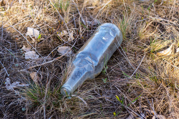 Obraz premium Glass trash in the forest. Tucked nature. Glass container lying in the grass.