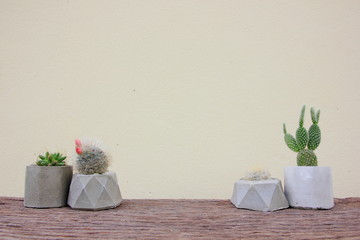 A small cactus in cement pot on wooden and yellow background.
