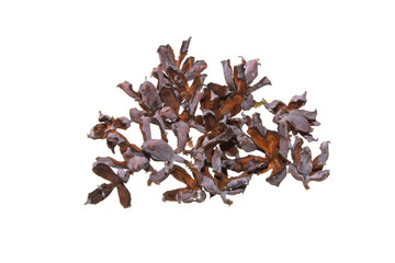 thuja seeds isolated on white background
