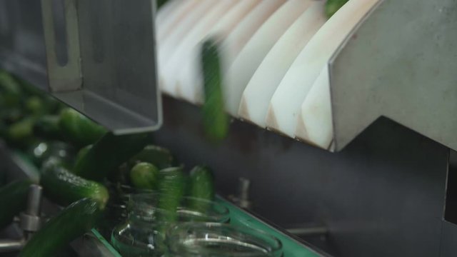 Automatic Line for Processing of Vegetables. Preserving Cucumber. Canned cucumbers. Glass jars with cucumbers and spices.