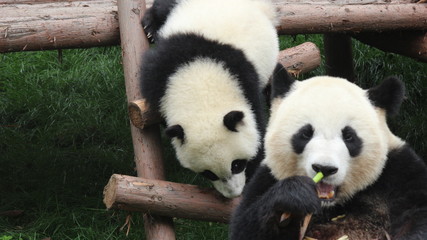 かまって～かまって～