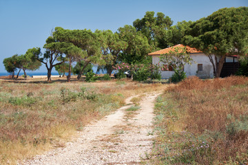 The country house under the trees on the seacoast of Paphos. Cyprus © Serg Zastavkin