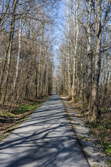 Radweg im Wald