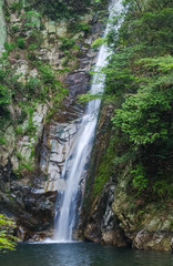 Fototapeta na wymiar 新緑の向こう側の滝