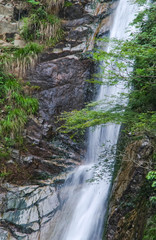 Fototapeta na wymiar 新緑と勢いよく流れる滝