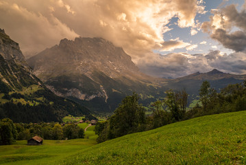 Alpine countryside landscape at sunset with the Jungfrau mountain range in the background in the alpine region of Grindelwald, Switzerland.