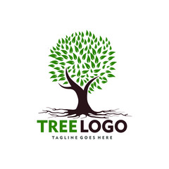 Obraz premium tree with green leaves