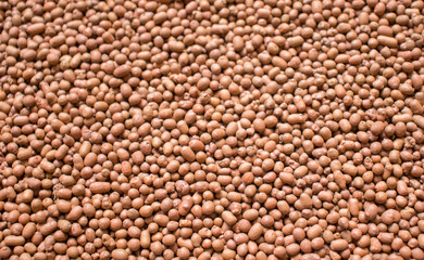 close up of a pile of corn seeds