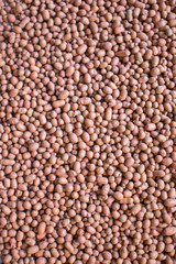 red lentils background