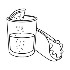 Mexican burrito and tequila shot design, Mexico culture tourism landmark latin and party theme Vector illustration