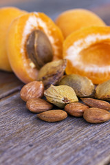Apricot pips and stone