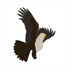 Cute animal eagle clip art bird illustration cartoon character