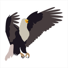 Cute animal eagle clip art bird illustration cartoon character