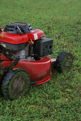 Obraz premium Lawn mower in garden. Mowing wet grass. 