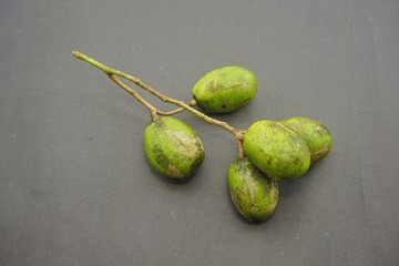 Spondias dulcis (kedondong)