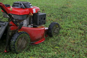Obraz premium Lawn mower in garden. Mowing wet grass. 