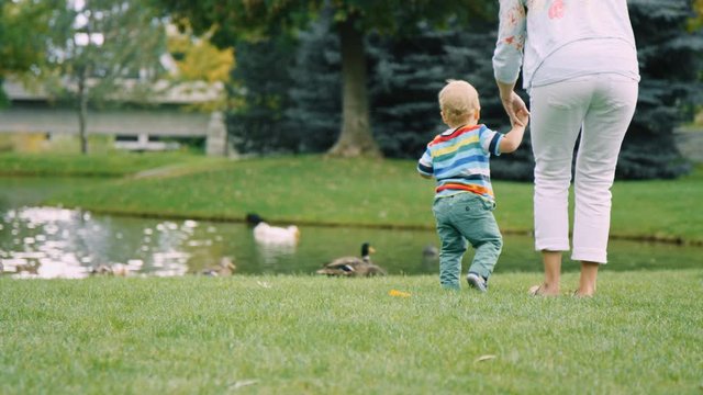 Mother leads toddler son by the hand as they approach duck pond in summer