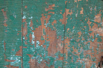 green painted wooden wall. the paint peeled off. the paint is cracked. non-residential, abandoned premises