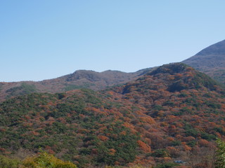 autumn landscape in the mountains