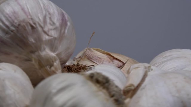 Close up of garlic bulbs with skins on 4K