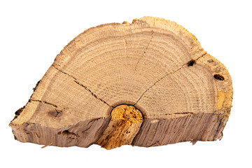 Round saw cut oak trunk