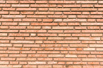 Fototapeta premium Red brick wall. Background, texture