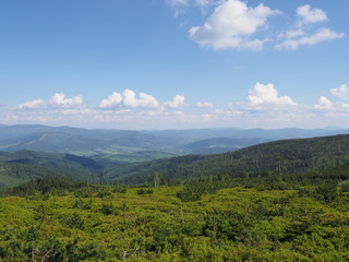Fototapeta premium Beauty Beskids Mountains range near Salmopol pass Poland