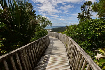 Fototapeta na wymiar A wooden walkway bridge with the view