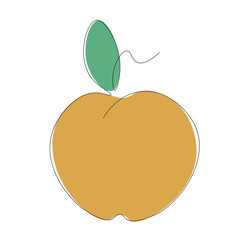 apple with leaf on white background, vector illustration 