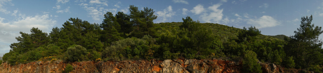 Fototapeta na wymiar Panoramic view of a hill overgrown with trees and shrubs