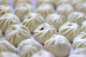 Homemade dumplings in a row.