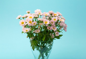 Pink flowers on a colored minimal background. Floral background concept