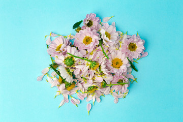 Buds of pink flowers with pink petals on a colored minimal background. Floral background concept