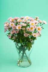 Pink flowers on a colored minimal background. Floral background concept