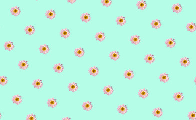 Floral minimal background. Flowers on a colored background. Creative minimal background