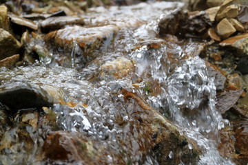 The image mountain stream with clean water.