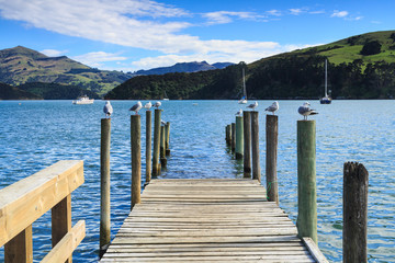 A half-sunken pier serving as a roost for seagulls. The pier is designed so that the sunken portion can be used at low tide. Akaroa Harbour, New Zealand