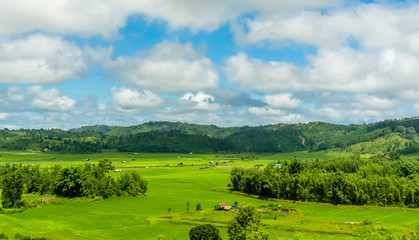 paddy fields in khasi and jaintia Hills of Meghalaya