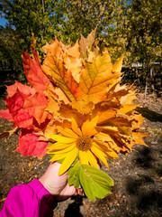 Осенний букет