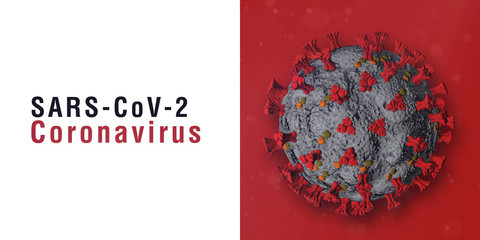 SARS-CoV-2 Banner. Virus Infection. Medical wallpaper. 3D illustration of coronavirus. White background.