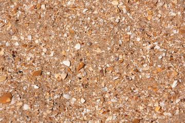 Sea sand shell rock light, texture