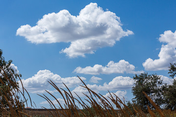 Blue sky with white curly clouds