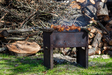 Mongol with barbecue, firewood with an ax in a clearing with green grass