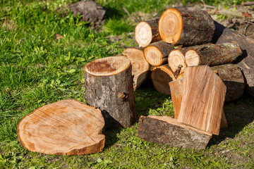 Firewood with an ax in a clearing with green grass