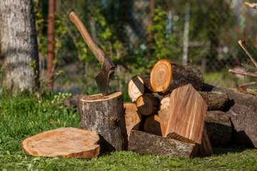 Firewood with an ax in a clearing with green grass